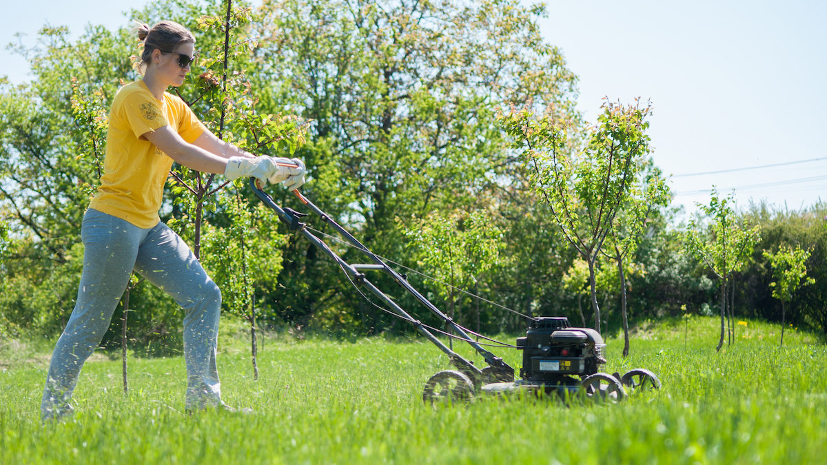 These Lawn Mowing Tricks Will Make You Say Why Didn t I Know This Sooner 