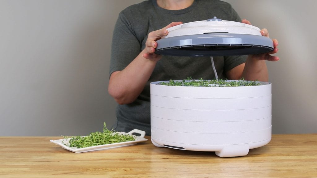 Magic Mill Commercial Food Dehydrator Machine Review - Sous Vide Guy