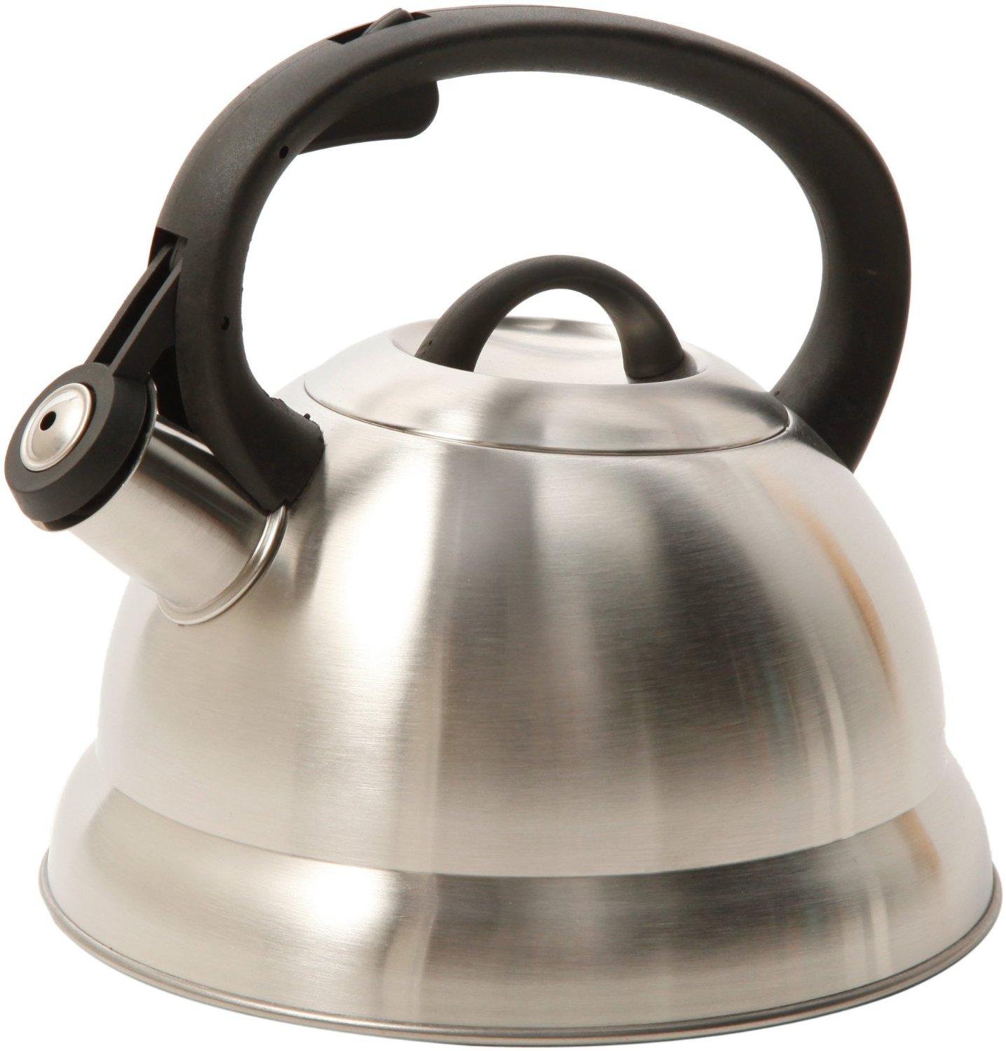 Willow & Everett Whistling Kettle, Tea Pots for Stovetop - Stainless Steel  Teapot with Infuser for Loose Leaf Tea, 2.75 Liters