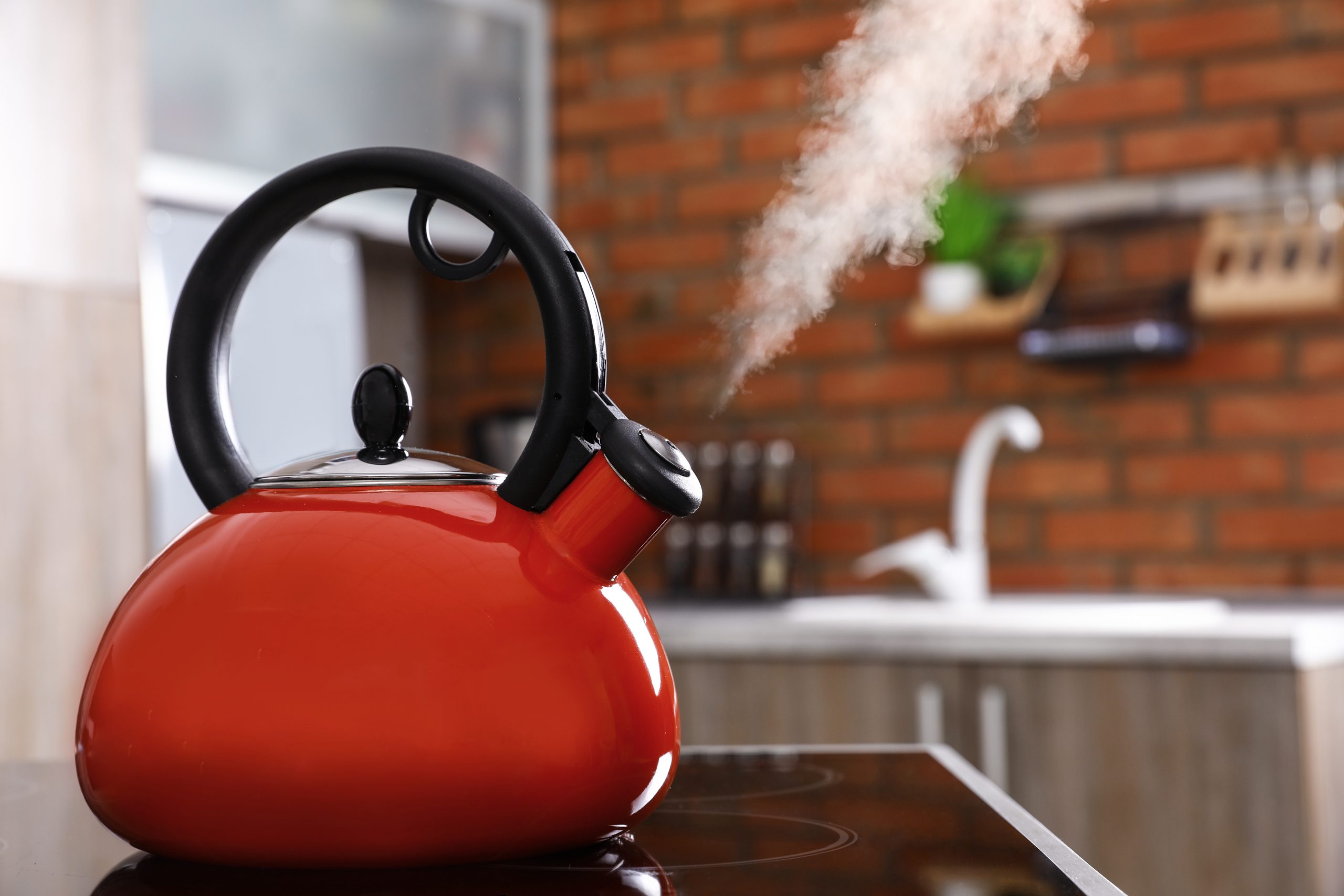 Heat Resistant Glass Stovetop Teapot Kettle With Stainless Steel Infus –  TheWokeNest