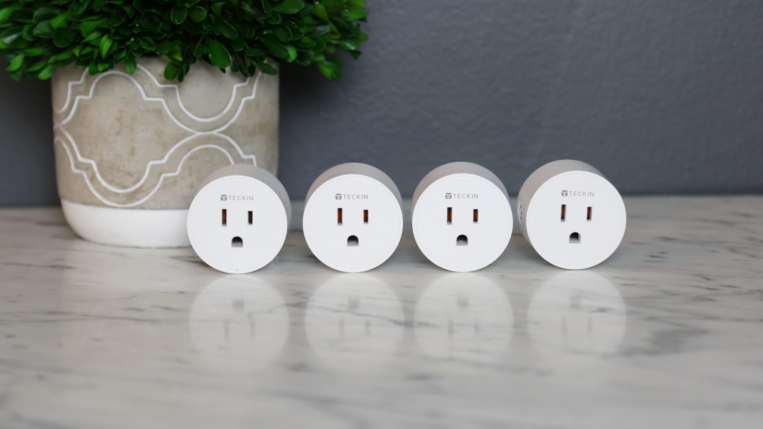 Teckin Smart Plug Review (2021) - Great Product or Waste of Time? - My Home  Dojo