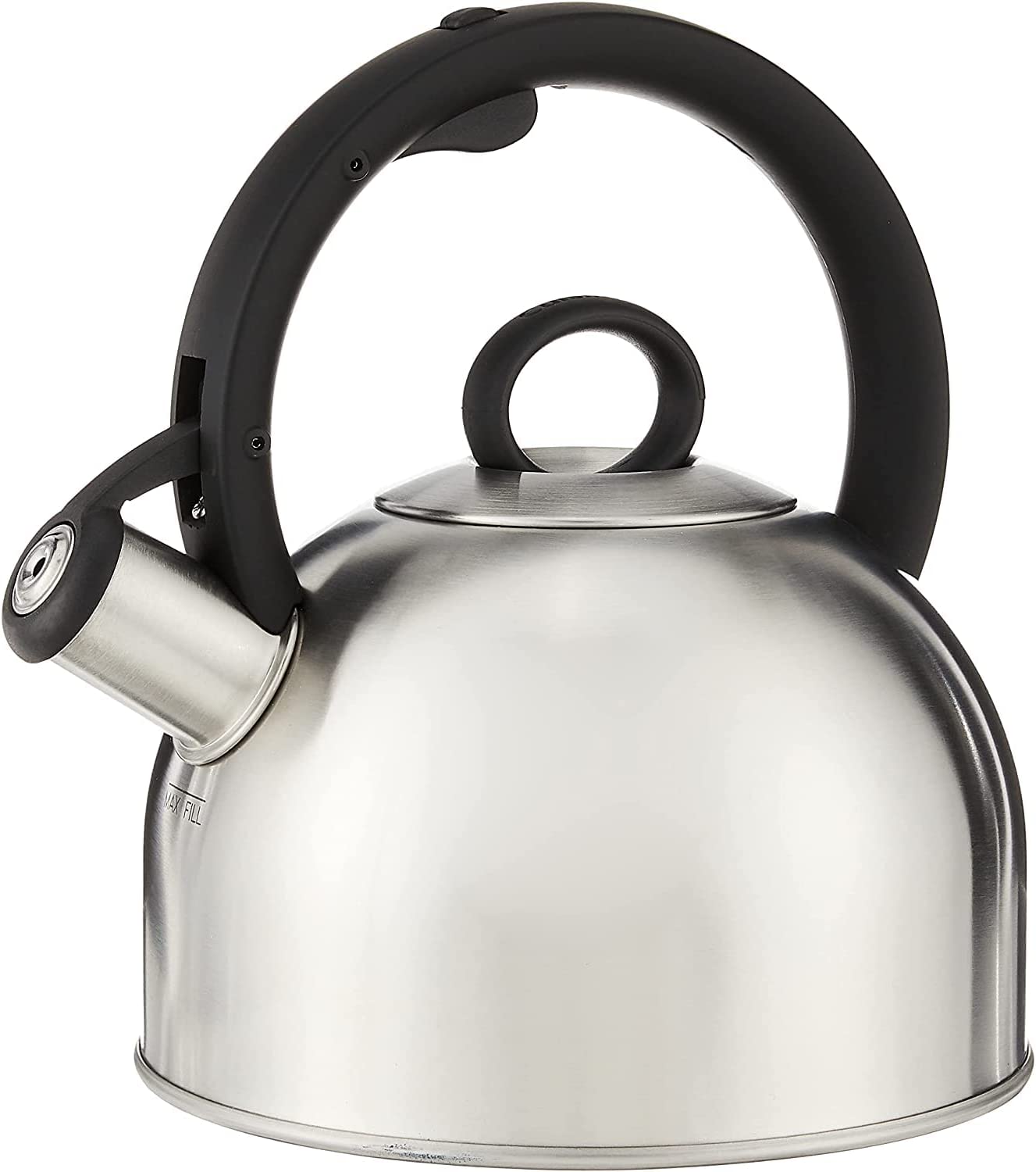POLIVIAR 7379 2.7 qt. Stainless Steel Stovetop Tea Kettle, B55-DS38 –  Salvage & Co Indy