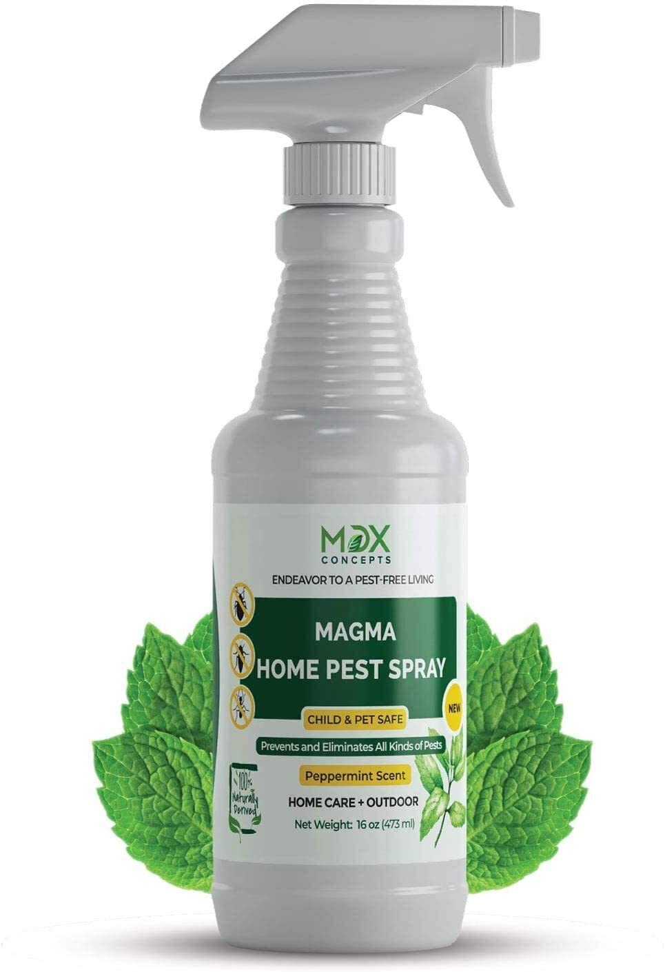 is raid ant killer safe for dogs