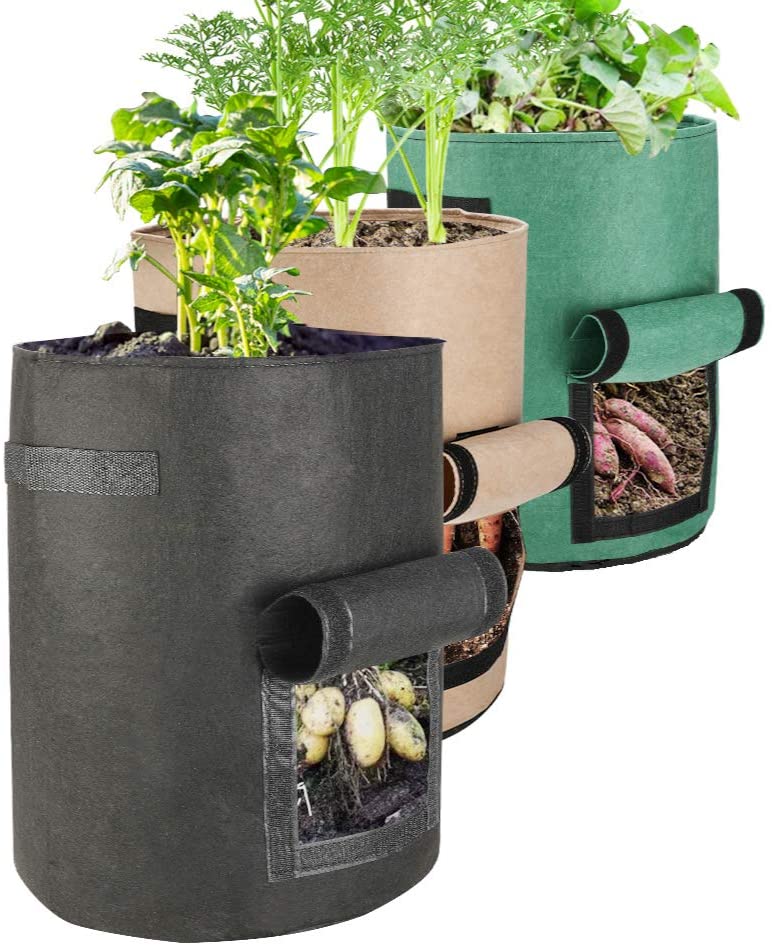 10 Gallon Contemporary Minimalist Grow Bags – Green Roots Urban Grow