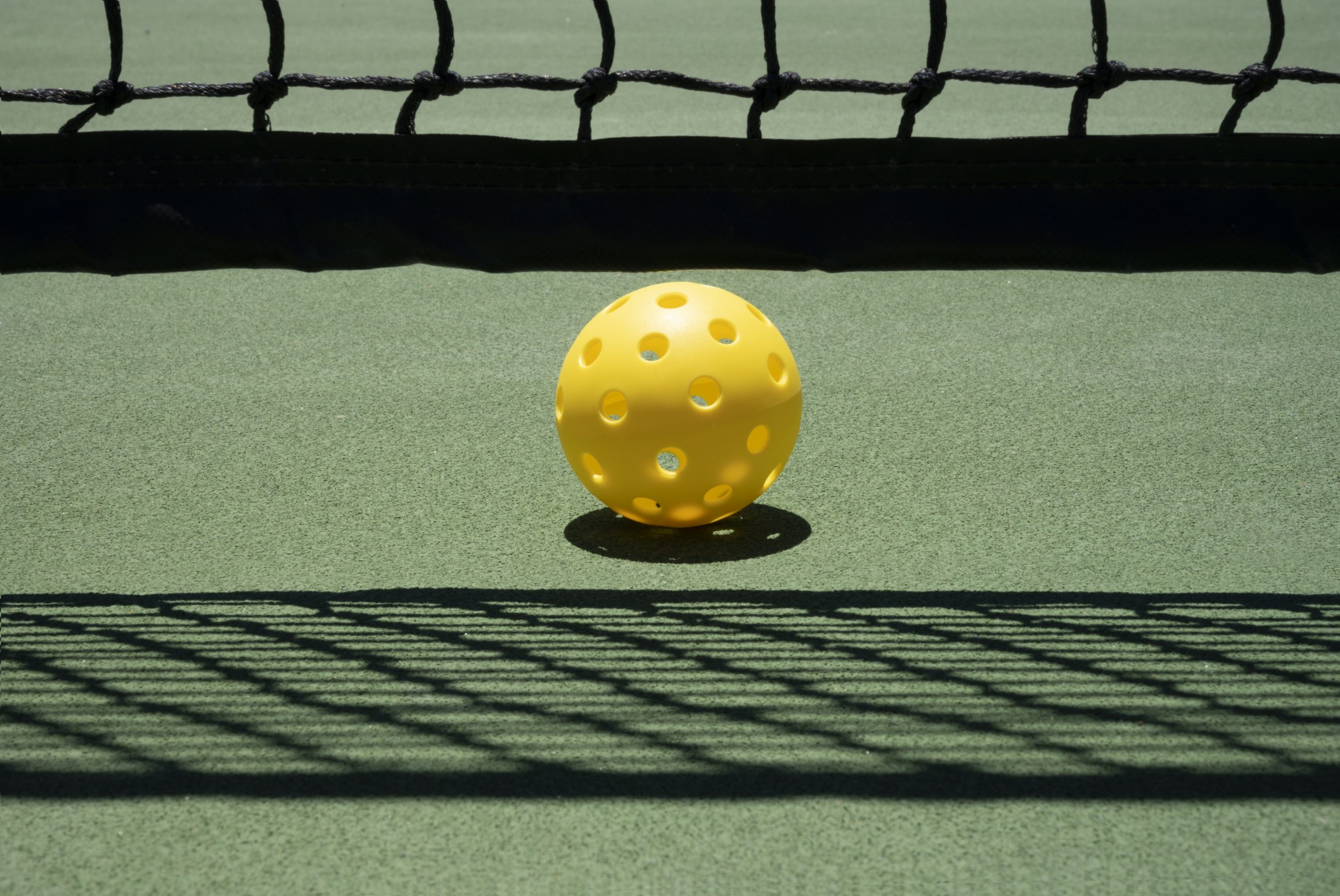 The Best Pickleball Balls | Reviews, Ratings, Comparisons