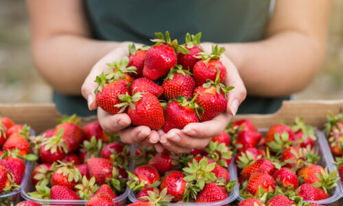 how to make strawberries last longer