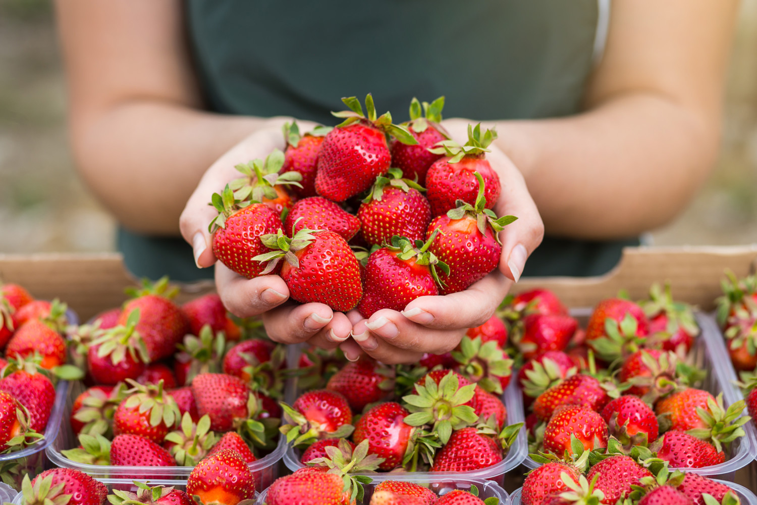 how to make strawberries last longer