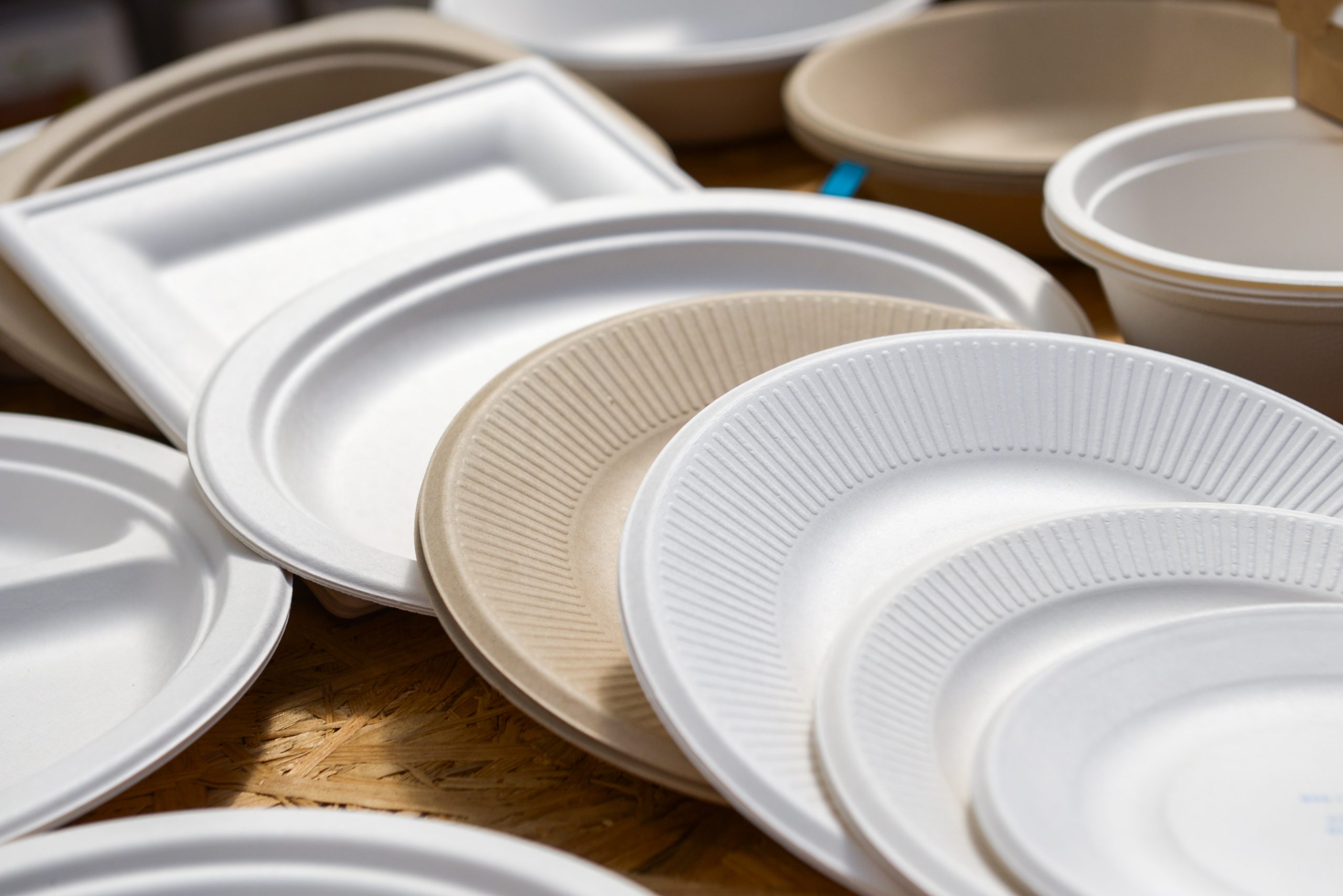 The Best Disposable Plates Reviews Ratings Comparisons