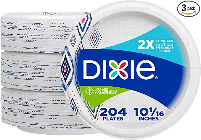 https://www.dontwasteyourmoney.com/wp-content/uploads/2022/10/dixie-printed-disposable-dinner-plates-204-count-disposable-plates.jpg