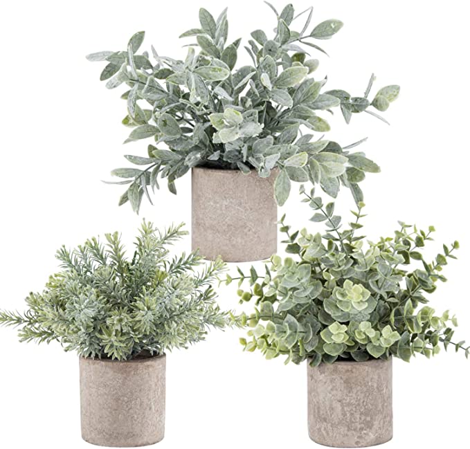 Tiita Artificial Succulents Hanging Plants, Faux String of Pearls Plants  for Home Office Accessories Window Sill Bathroom Bedroom Fake in White