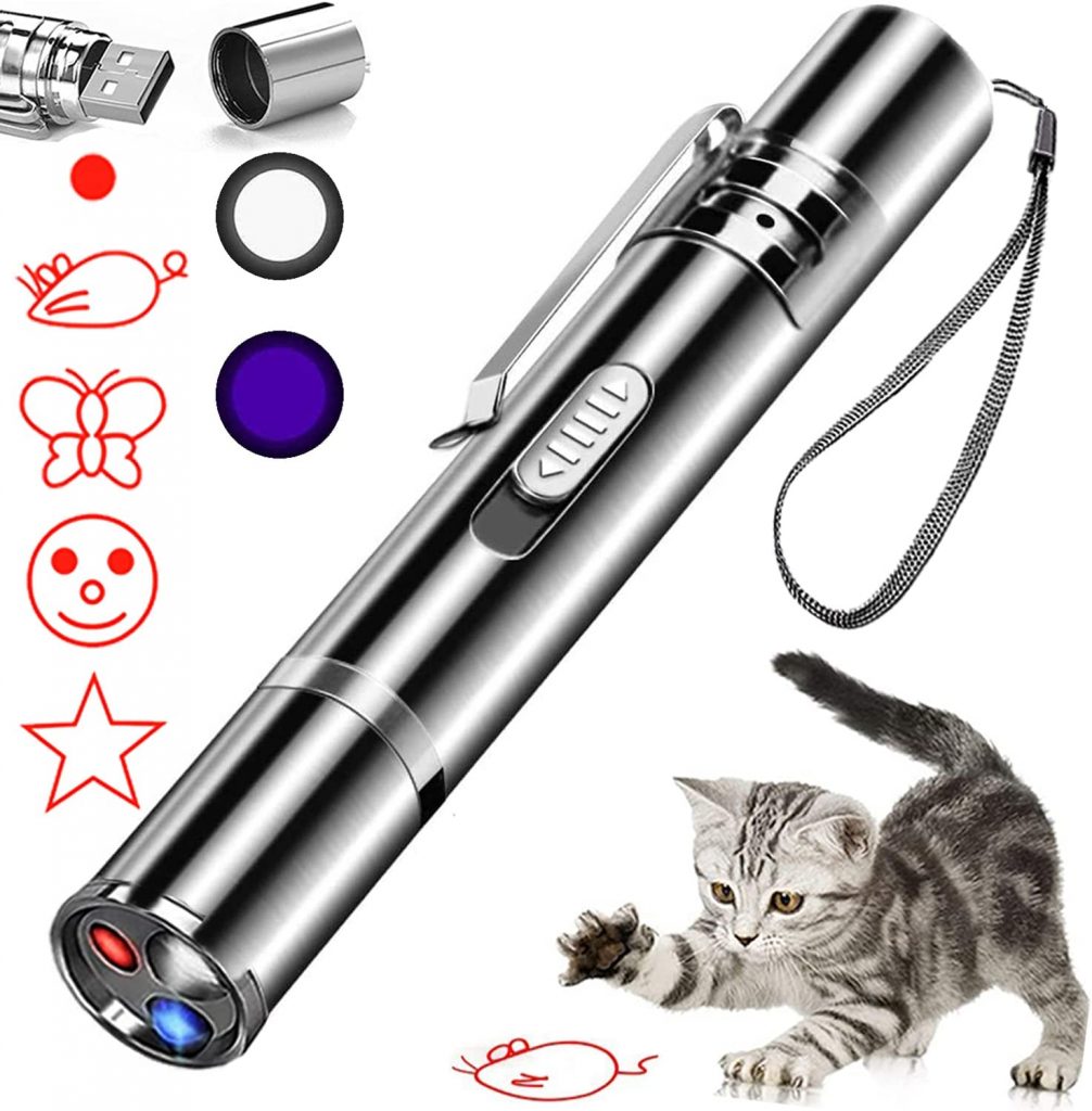 The Best Laser Pointer of 2023