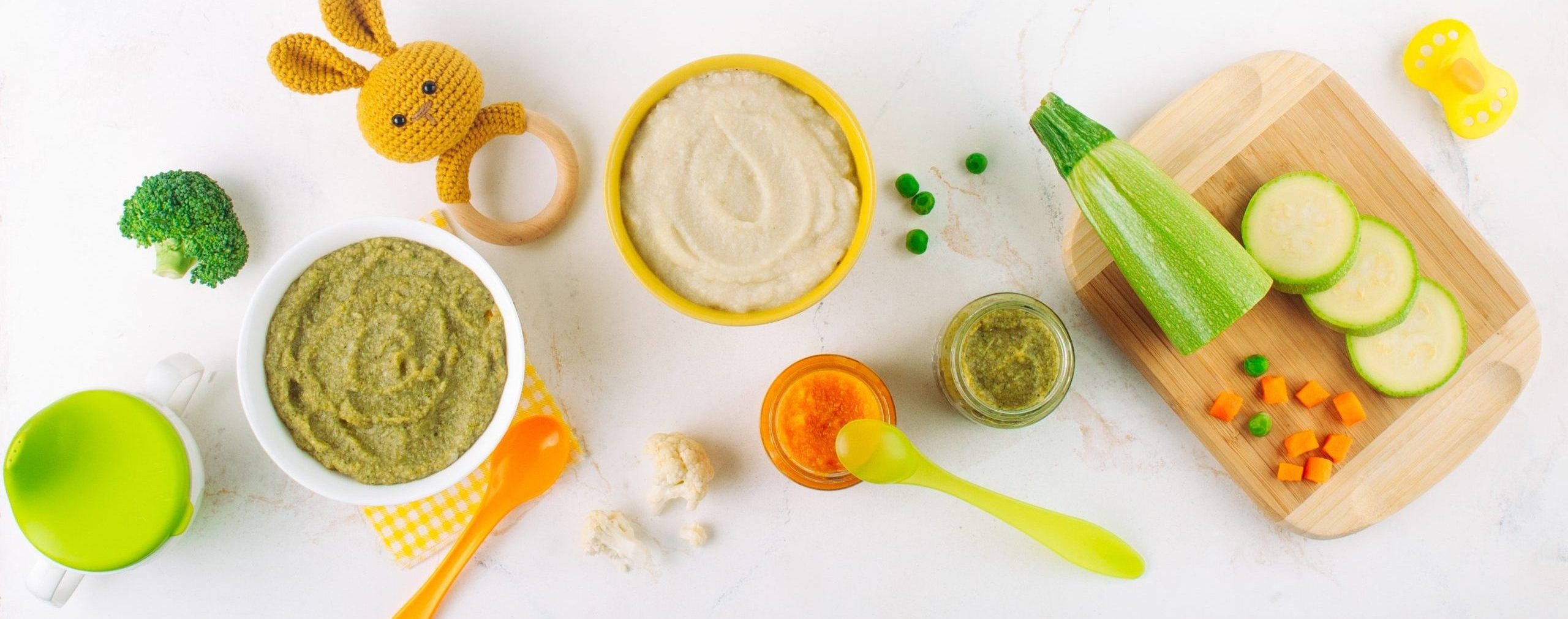 6 Best Baby Food Makers of 2023