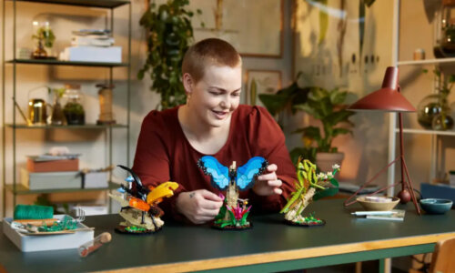 Lego builder builds new insects set