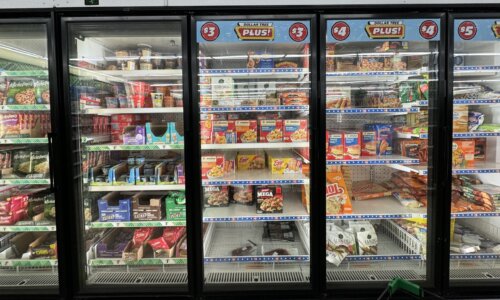 Frozen food section at dollar tree