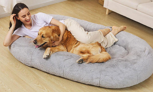 Person and dog in dog bed big enough for both from Sam's Club