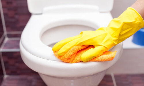 Person cleaning the toilet