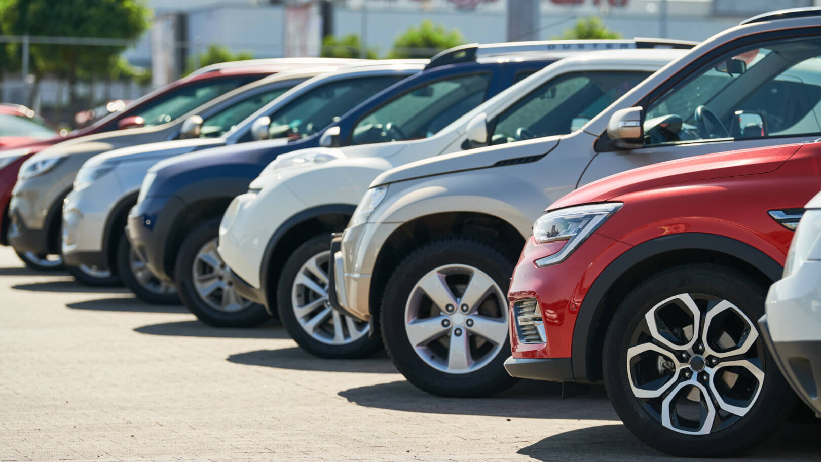 row of used cars