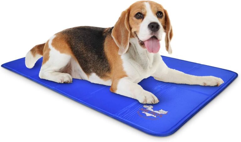 beagle on cooling mat