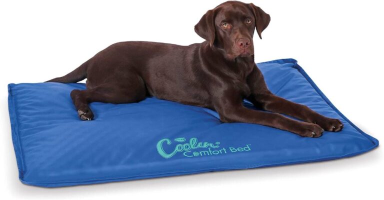 lab on Coolin' Comfort Bed