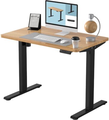 FlexiSpot EN1 Electric Standing Desk