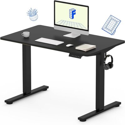 Flexispot Ergonomic Sit/Stand Desk