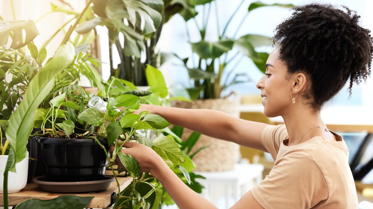 Woman caring for plants