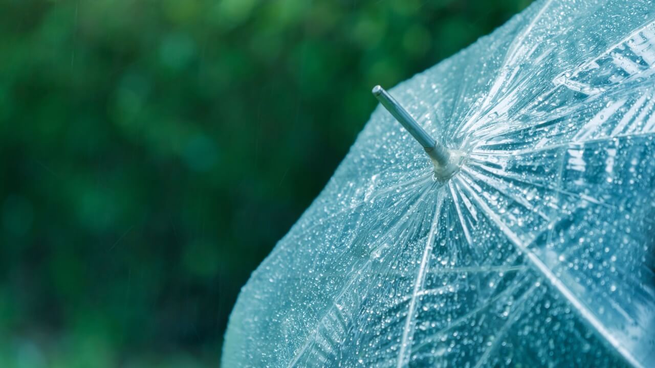 umbrella with water droplets