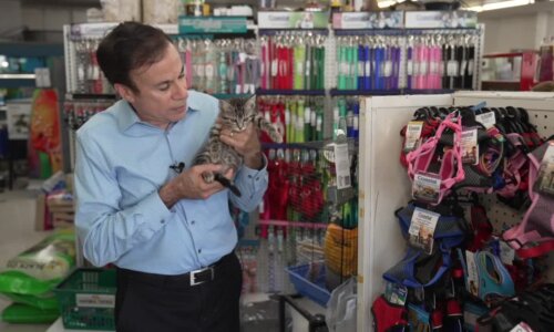 John Matarese in pet store holding a kitten