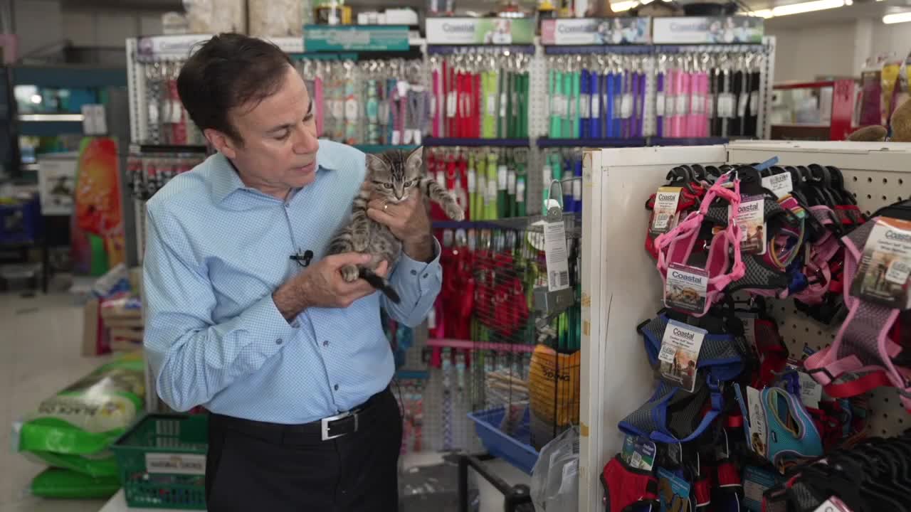 John Matarese in pet store holding a kitten