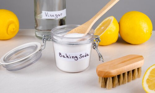 Eco friendly natural cleaners baking soda, vinegar and lemon